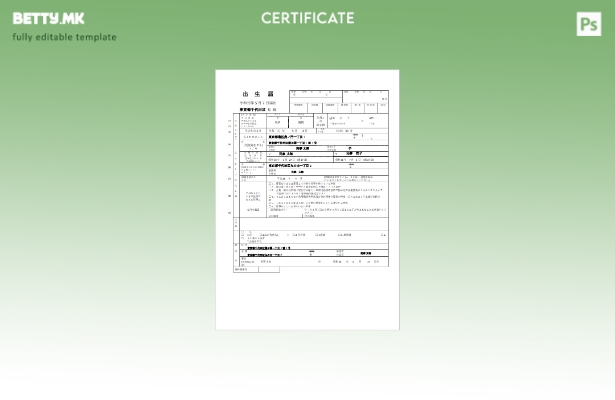 Модерен стил Јапонски извод од матична книга на родените (日本の出生証明書) Шаблон за Wo